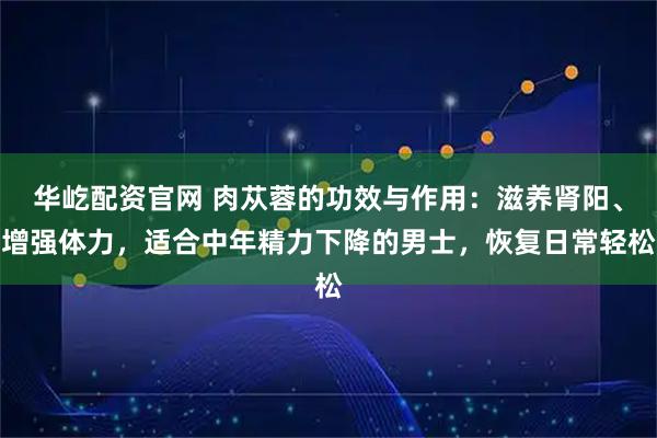 华屹配资官网 肉苁蓉的功效与作用：滋养肾阳、增强体力，适合中年精力下降的男士，恢复日常轻松