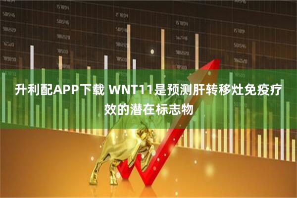 升利配APP下载 WNT11是预测肝转移灶免疫疗效的潜在标志物